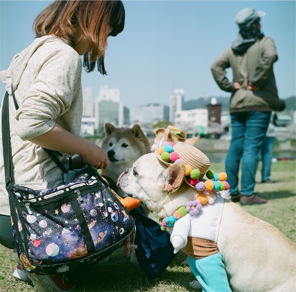 f:id:acopi:20180407192450j:image f:id:acopi:20180407192450j:image