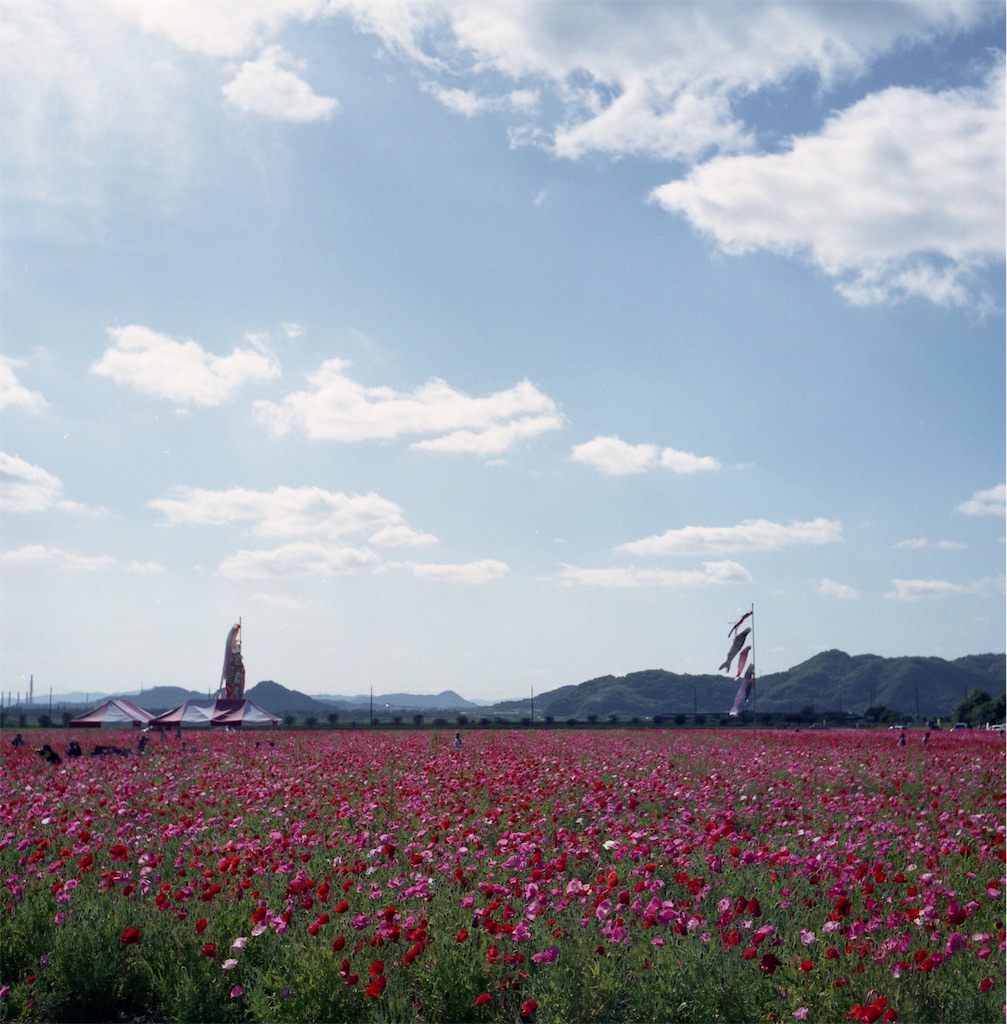 f:id:acopi:20180531174128j:image