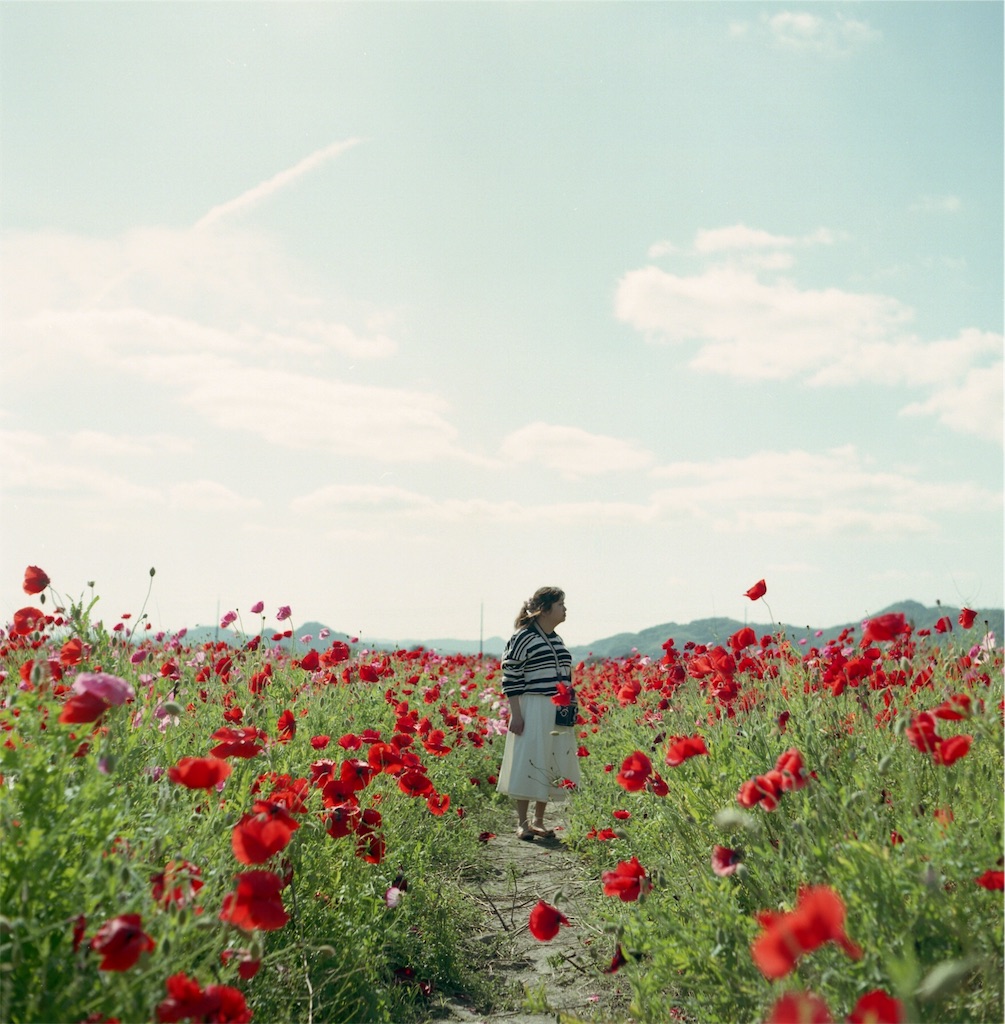 f:id:acopi:20180531174210j:image