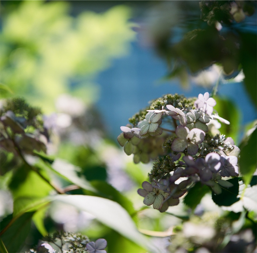 f:id:acopi:20180706053017j:image