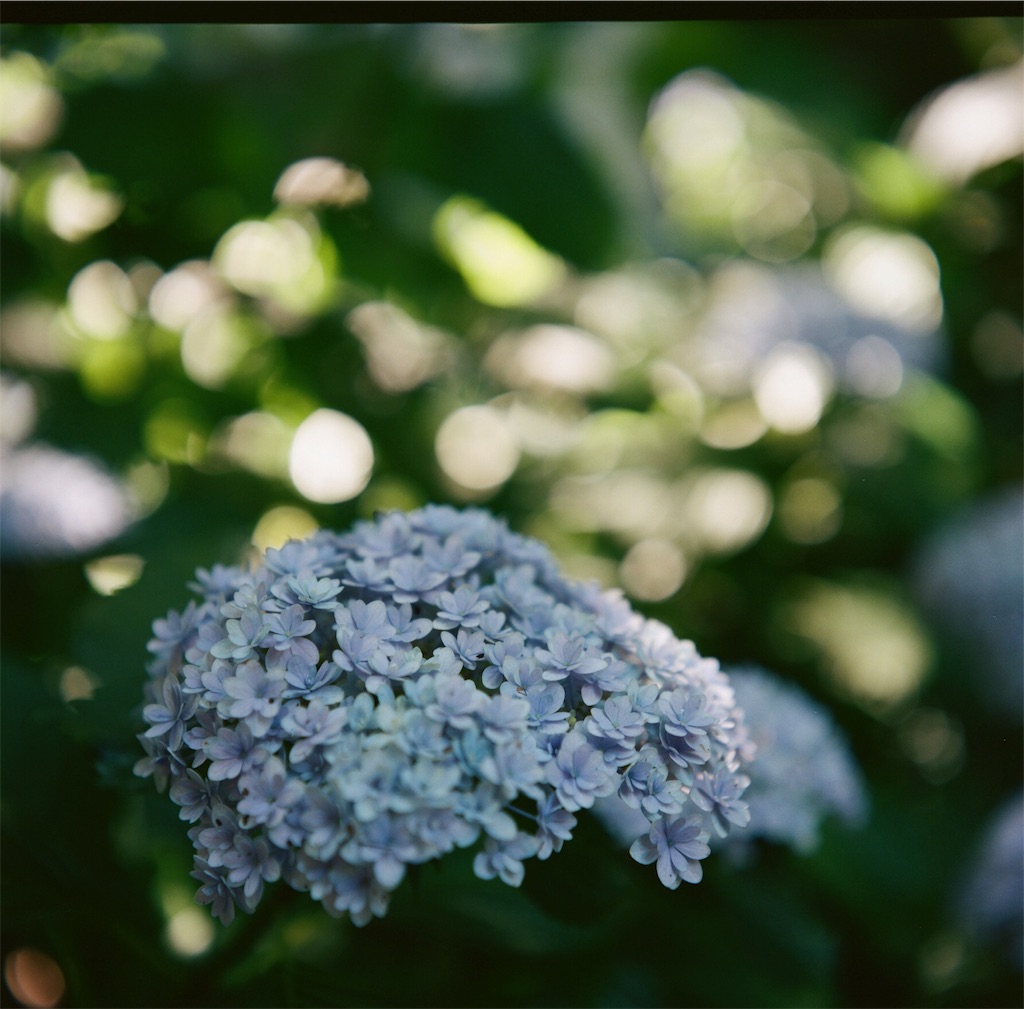 f:id:acopi:20180706053024j:image f:id:acopi:20180706053024j:image