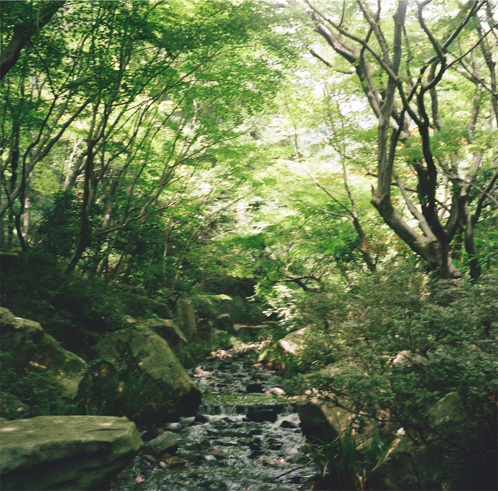 f:id:acopi:20180706053256j:image f:id:acopi:20180706053256j:image