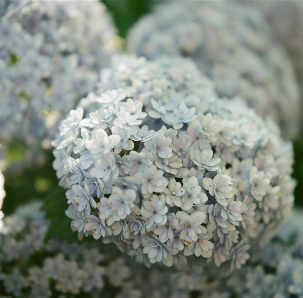 f:id:acopi:20180706053353j:image f:id:acopi:20180706053353j:image