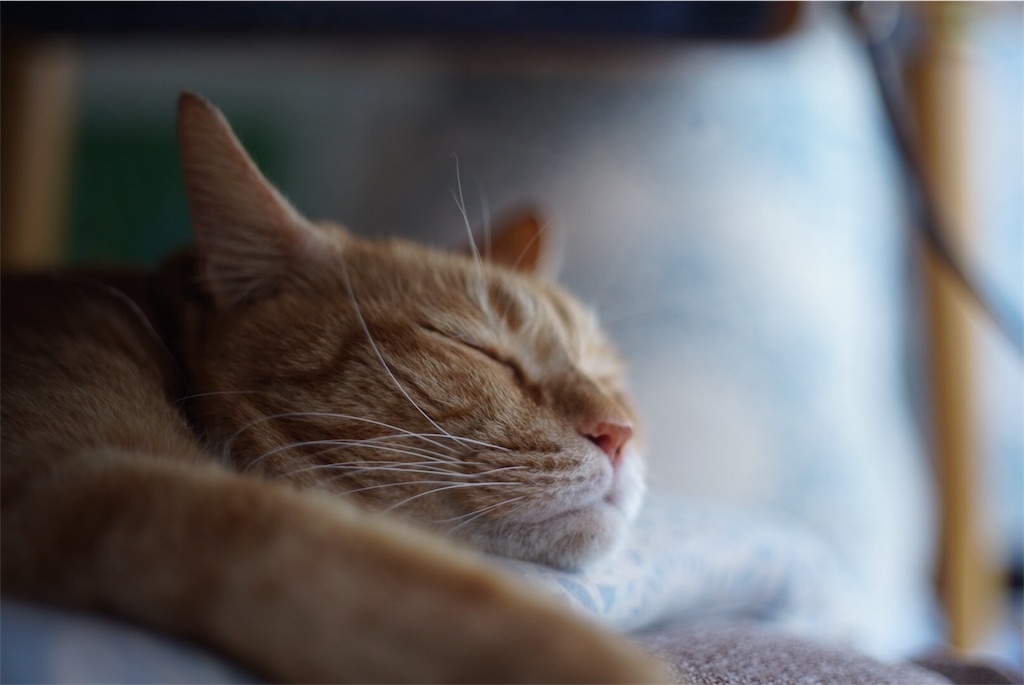 f:id:acopi:20180906160717j:image