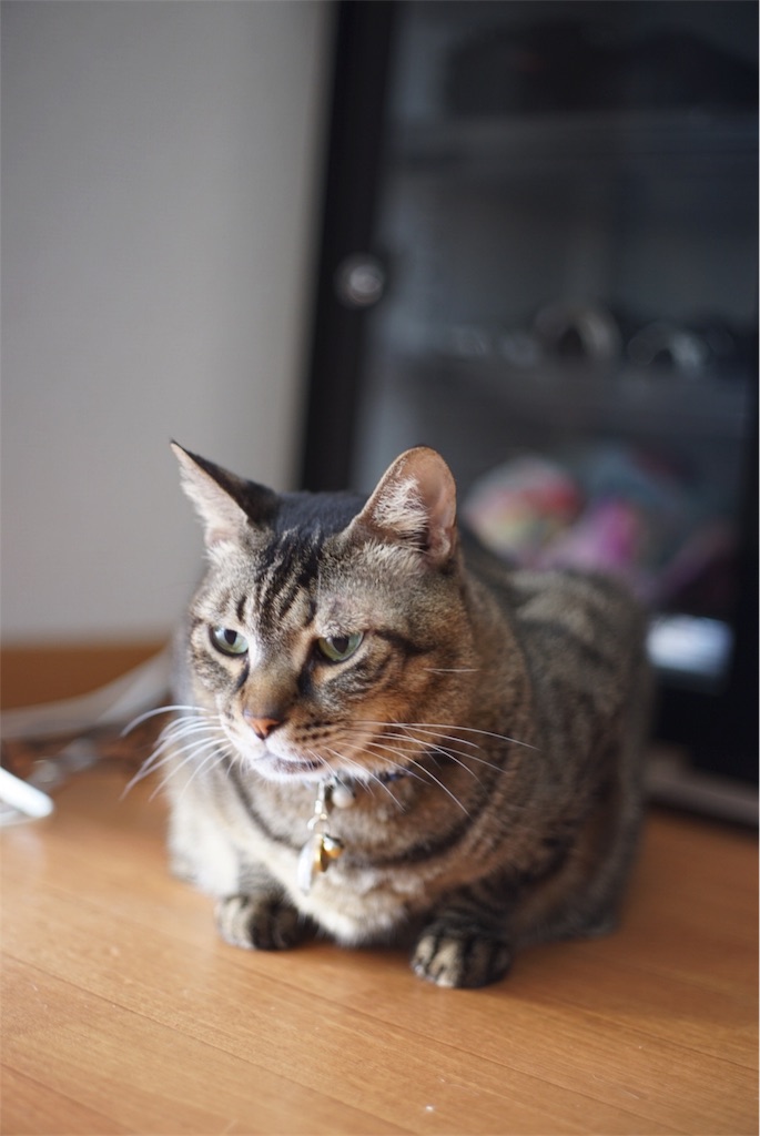 f:id:acopi:20180906160926j:image