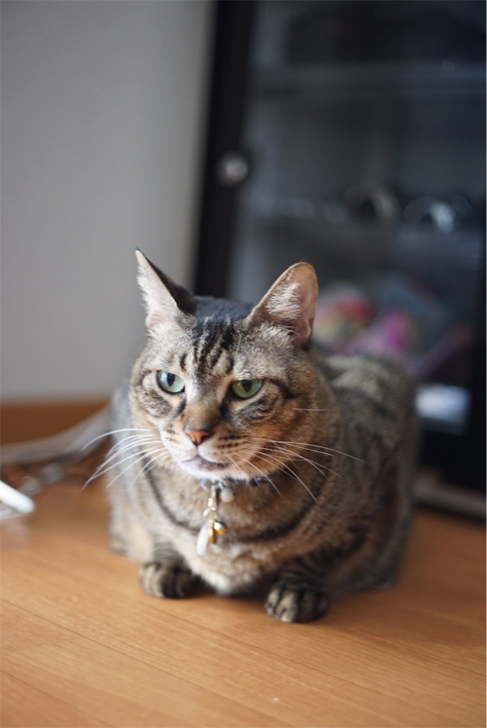 f:id:acopi:20180906160930j:image