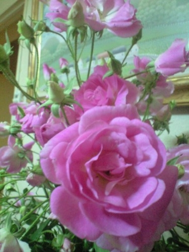 f:id:acorody:20090125192256j:image