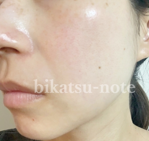 f:id:acosme:20190321190925j:plain f:id:acosme:20190321190925j:plain