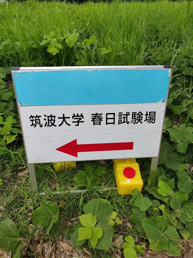 筑波大学情報学群情報科学類 令和二年度 編入体験記 Acquamarine S Blog