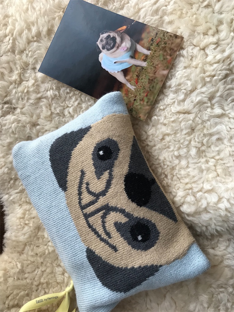 f:id:acsakura:20190218091243j:image