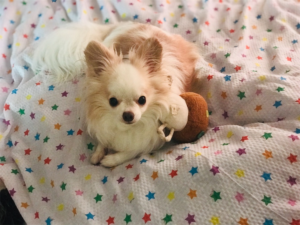 f:id:acsakura:20190721125553j:image