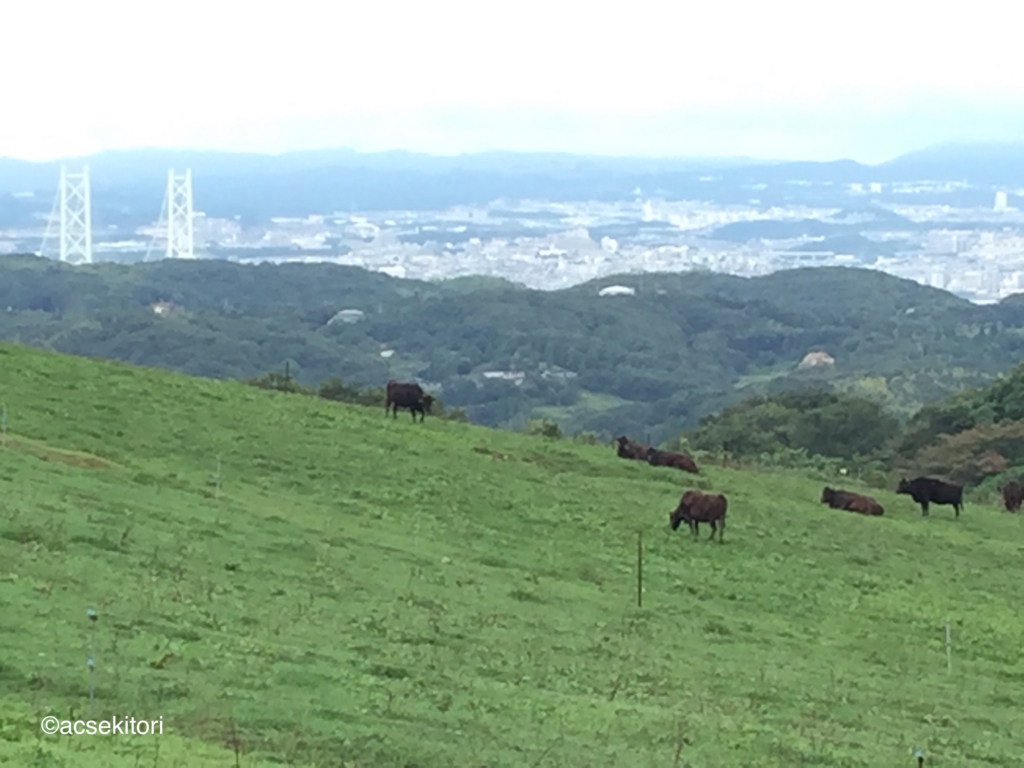 f:id:acsekitori:20160914091710j:plain