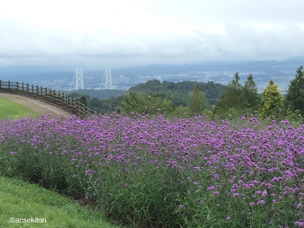 f:id:acsekitori:20160914091913j:plain