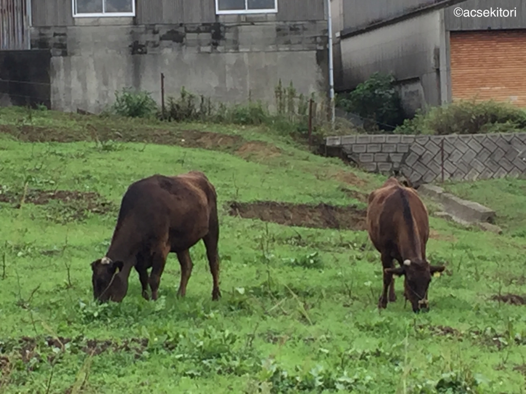 f:id:acsekitori:20160914092017j:plain