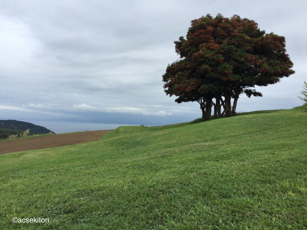 f:id:acsekitori:20160914092127j:plain