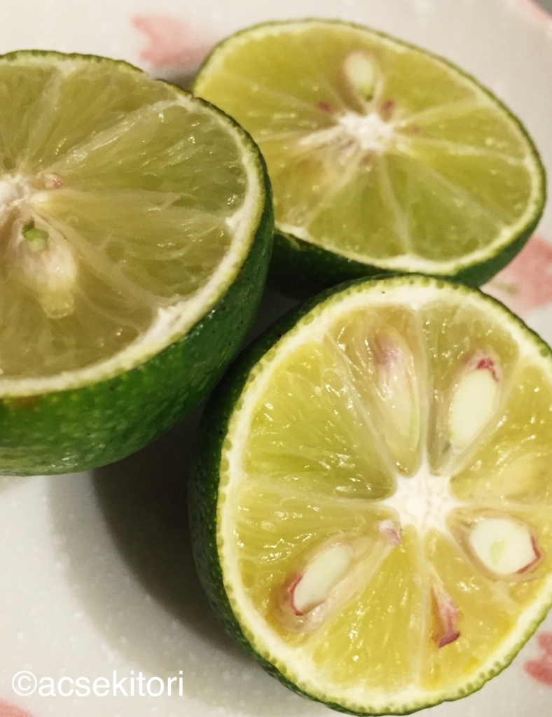 f:id:acsekitori:20160920215817j:plain