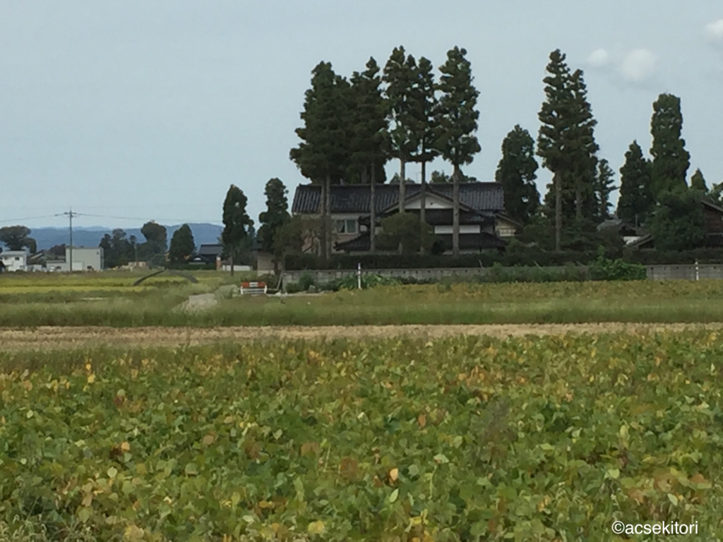 f:id:acsekitori:20160927211103j:plain f:id:acsekitori:20160927211103j:plain