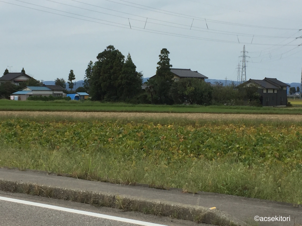 f:id:acsekitori:20160927211128j:plain f:id:acsekitori:20160927211128j:plain