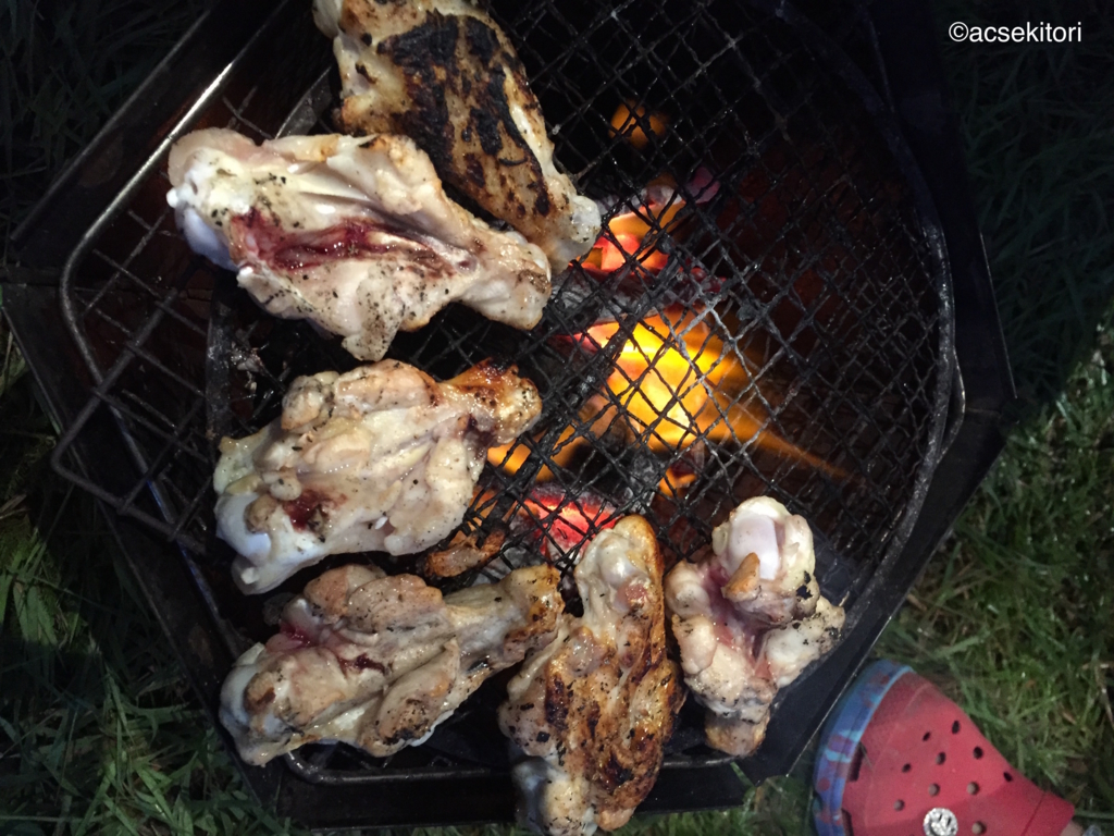 f:id:acsekitori:20160927211934j:plain f:id:acsekitori:20160927211934j:plain