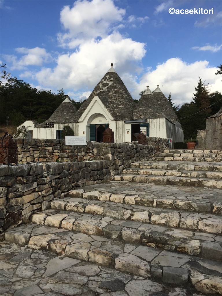 f:id:acsekitori:20161102213545j:image