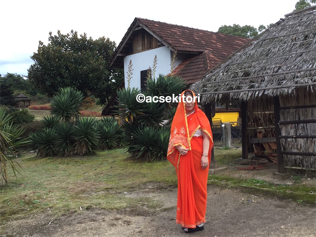 f:id:acsekitori:20161102214028j:image