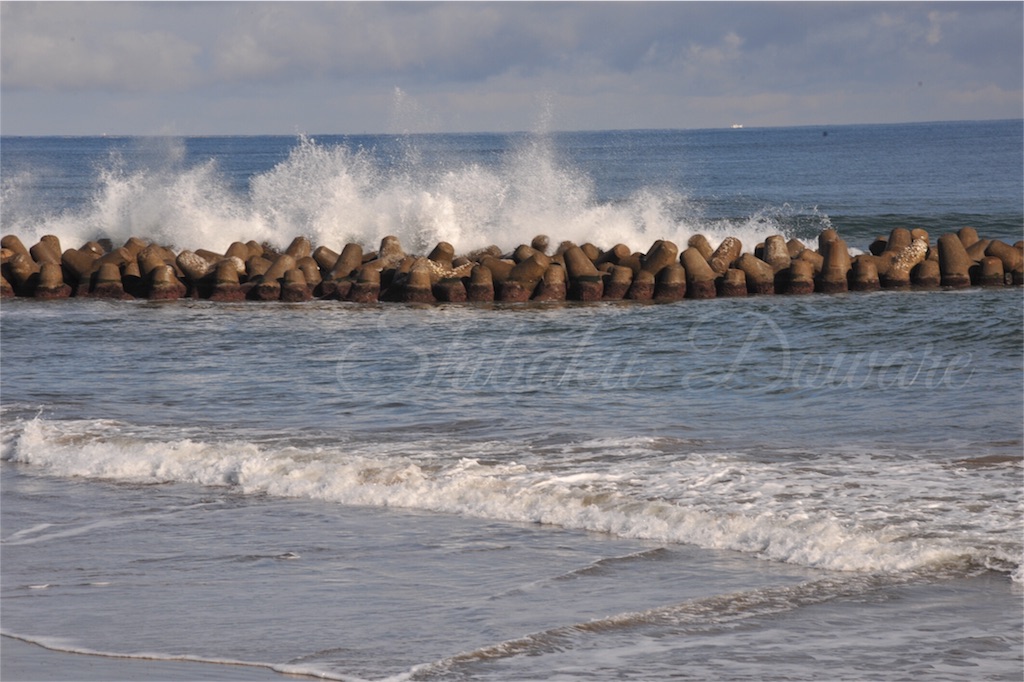 f:id:acsekitori:20161216054653j:image