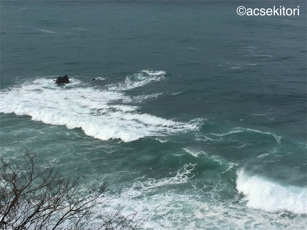 f:id:acsekitori:20161216105746j:image