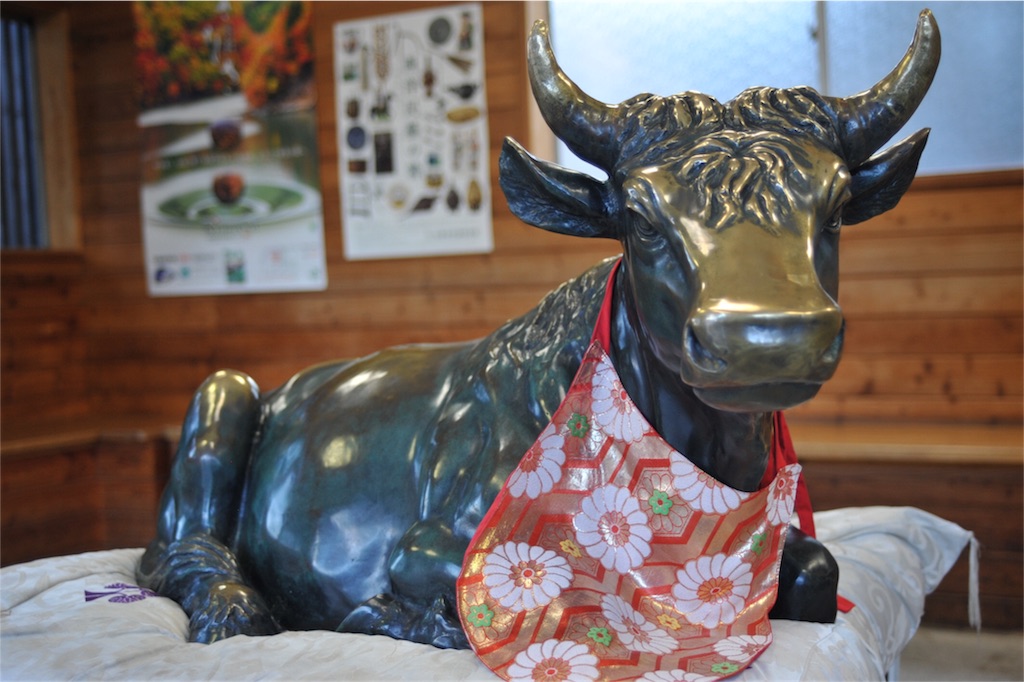 f:id:acsekitori:20161217233053j:image f:id:acsekitori:20161217233053j:image