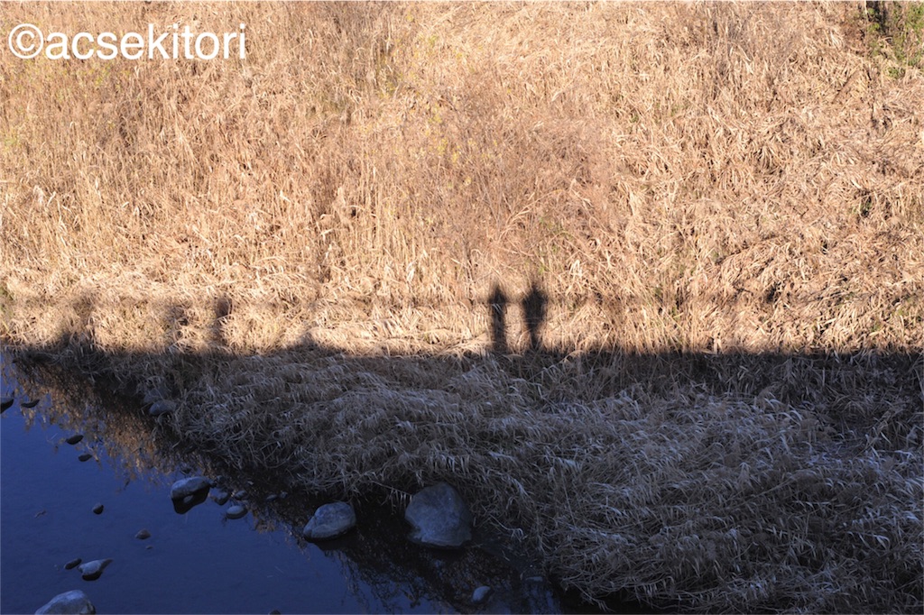 f:id:acsekitori:20161217233327j:image f:id:acsekitori:20161217233327j:image