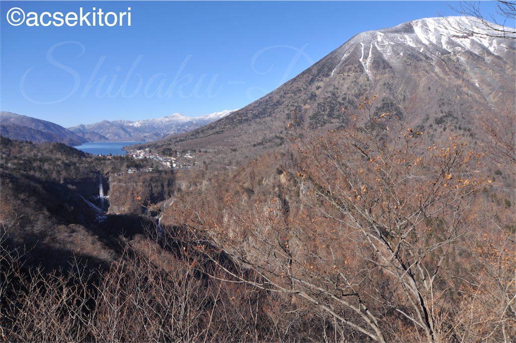 f:id:acsekitori:20161222202453j:image f:id:acsekitori:20161222202453j:image