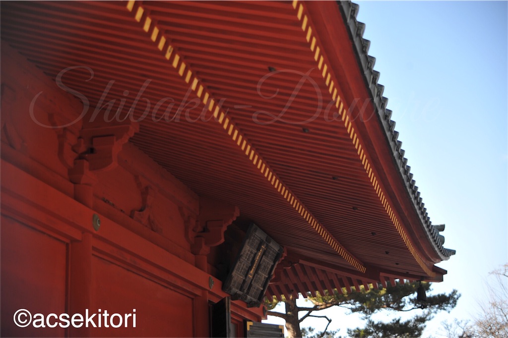 f:id:acsekitori:20161222203059j:image f:id:acsekitori:20161222203059j:image