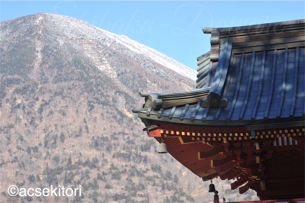 f:id:acsekitori:20161222203113j:image f:id:acsekitori:20161222203113j:image