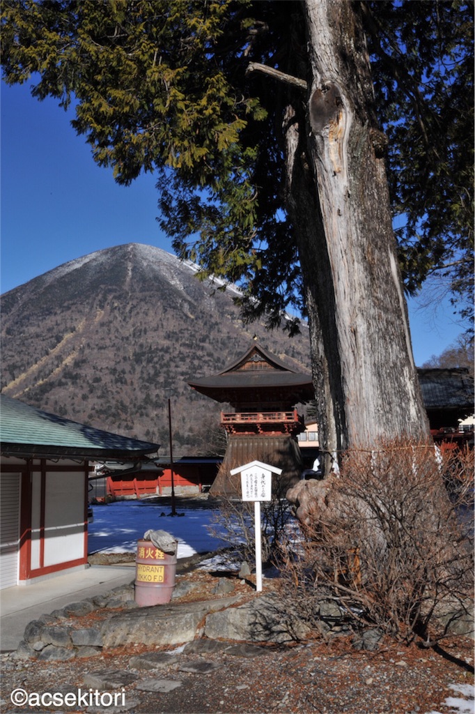 f:id:acsekitori:20161222224813j:image f:id:acsekitori:20161222224813j:image