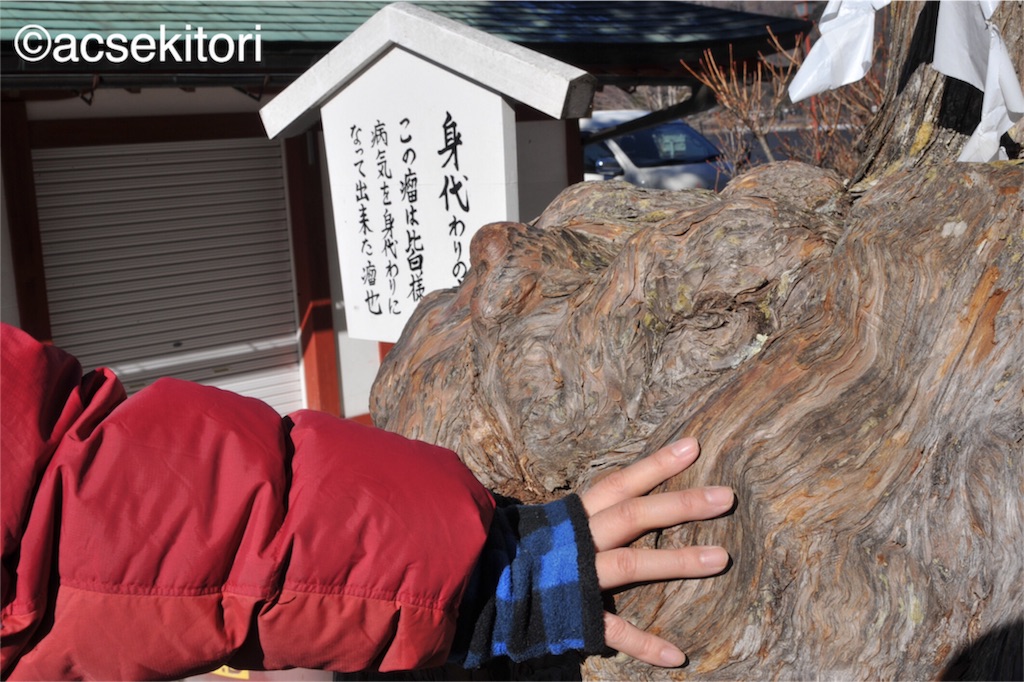 f:id:acsekitori:20161222224911j:image f:id:acsekitori:20161222224911j:image
