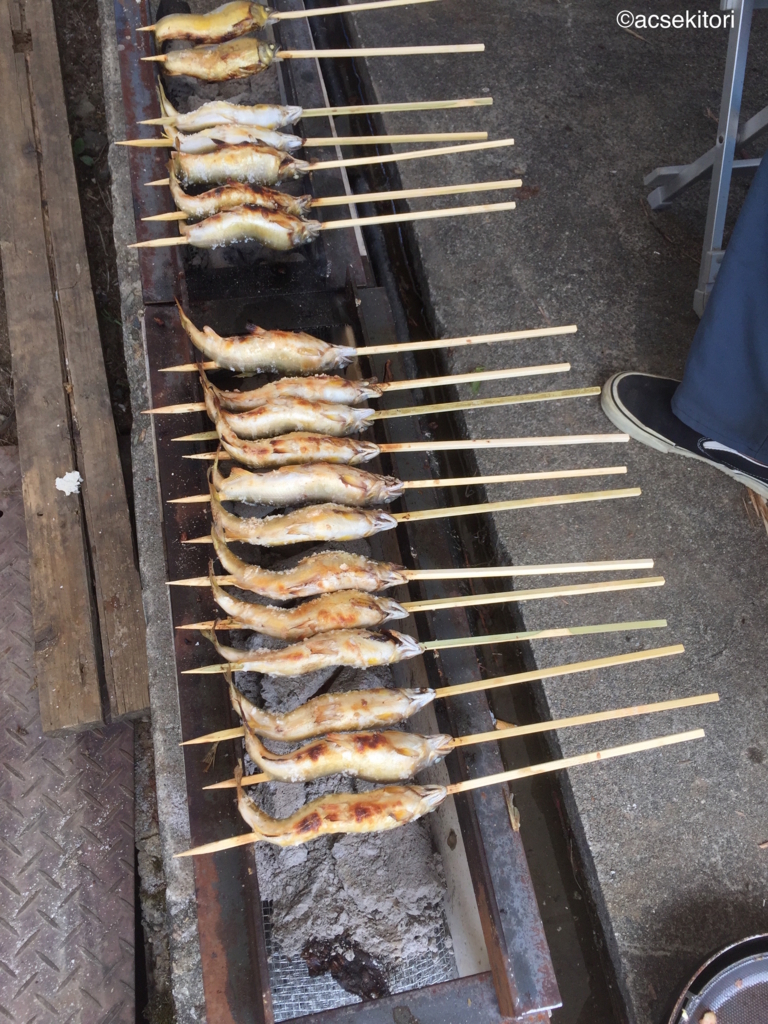 f:id:acsekitori:20170724204305j:plain f:id:acsekitori:20170724204305j:plain