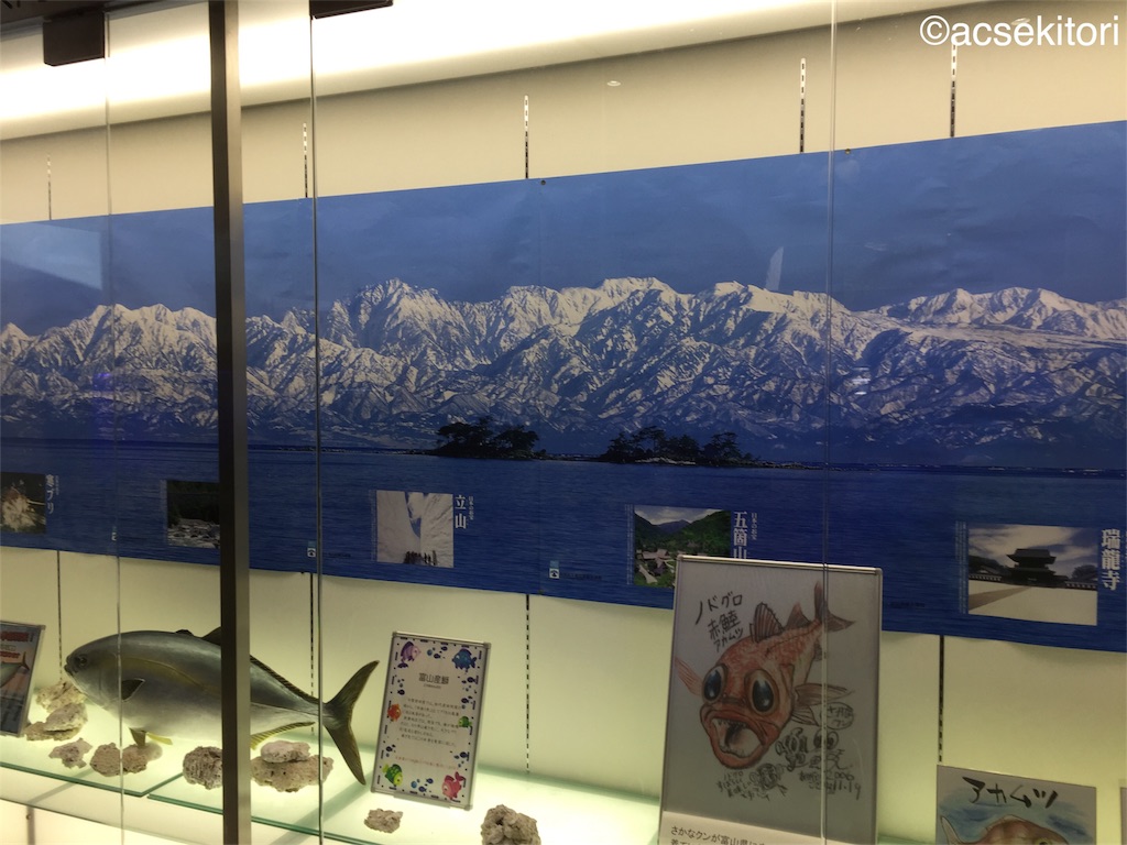 f:id:acsekitori:20170929120548j:image f:id:acsekitori:20170929120548j:image