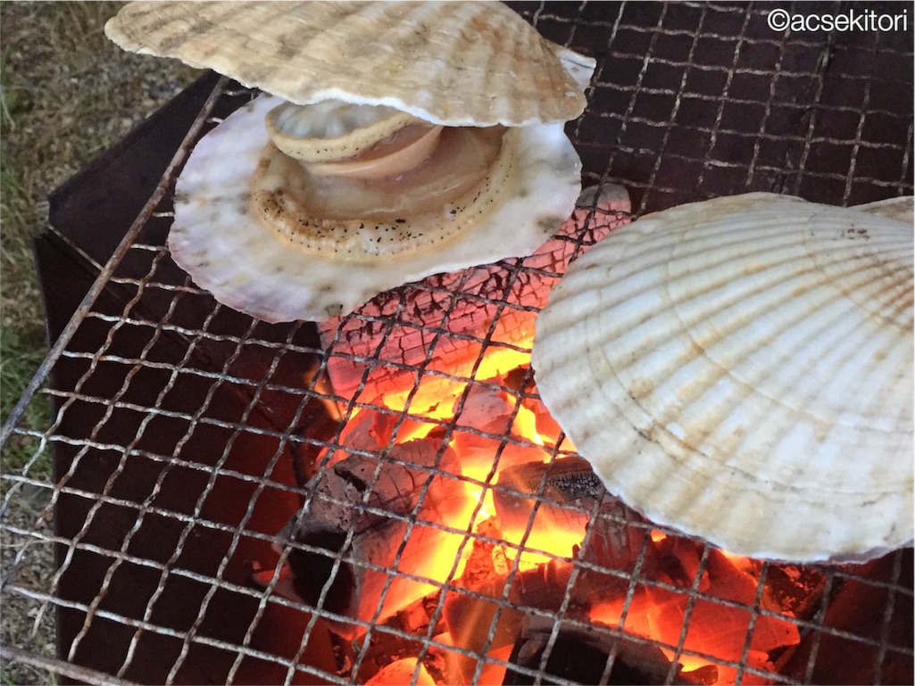 f:id:acsekitori:20180320100143j:image