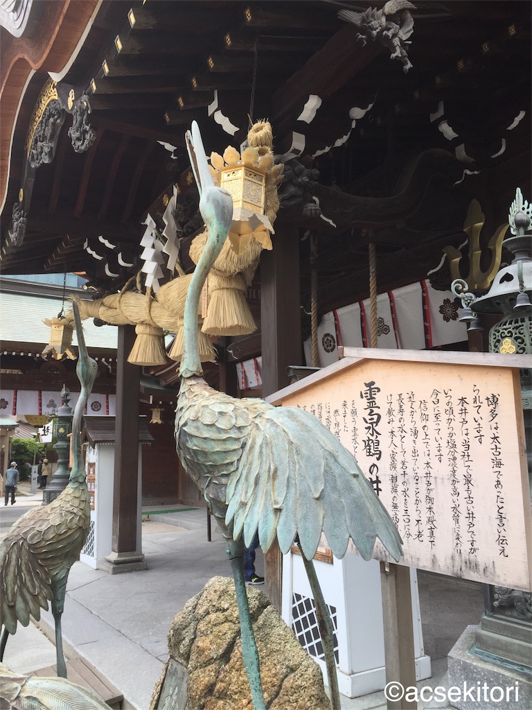 f:id:acsekitori:20180407224459j:image f:id:acsekitori:20180407224459j:image