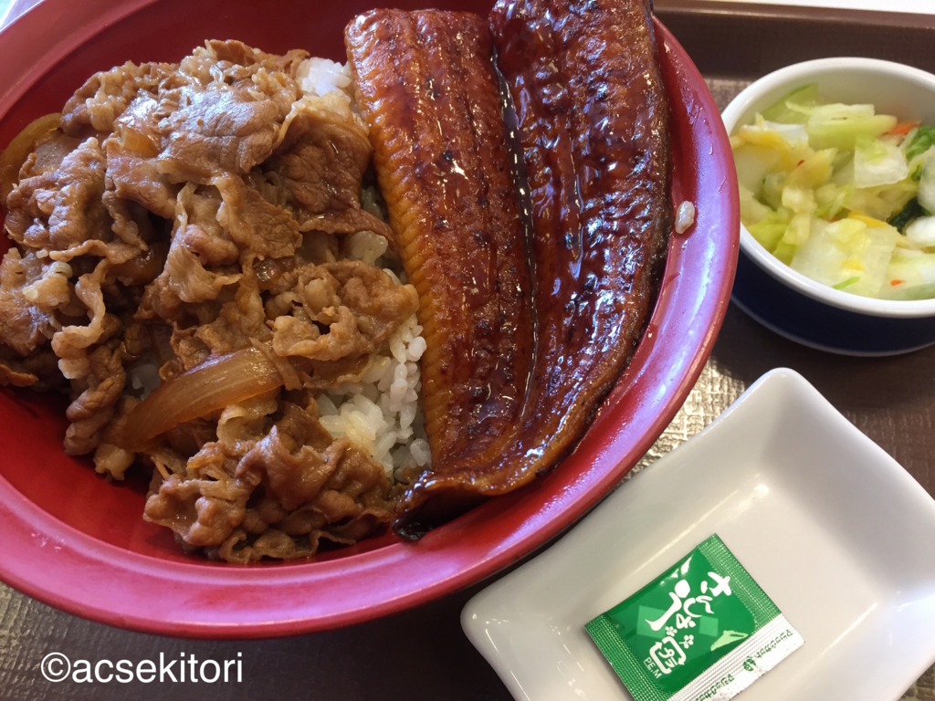 f:id:acsekitori:20180421212757j:plain