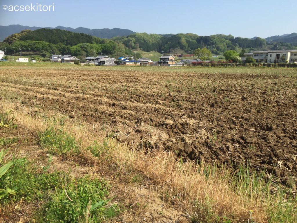 f:id:acsekitori:20180421215916j:plain