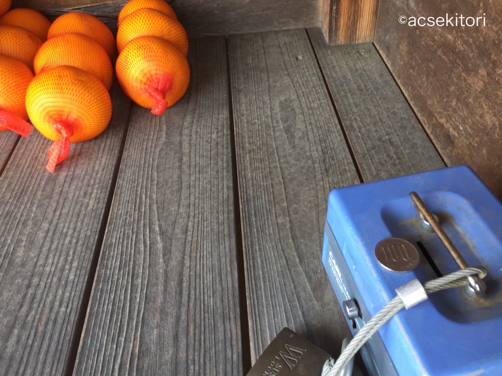 f:id:acsekitori:20180421220221j:plain