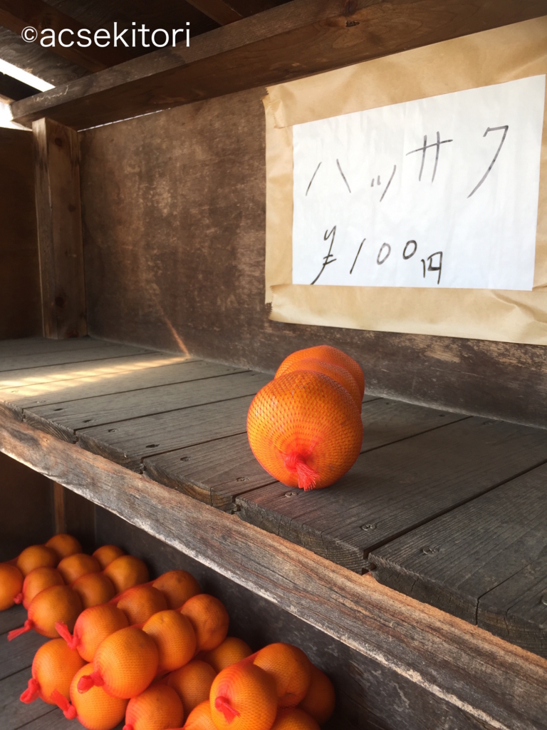 f:id:acsekitori:20180421220245j:plain