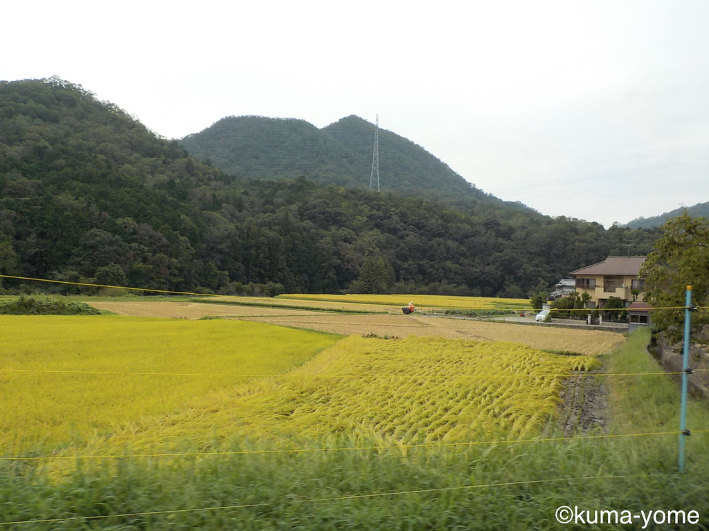 f:id:acsekitori:20180907152124j:plain