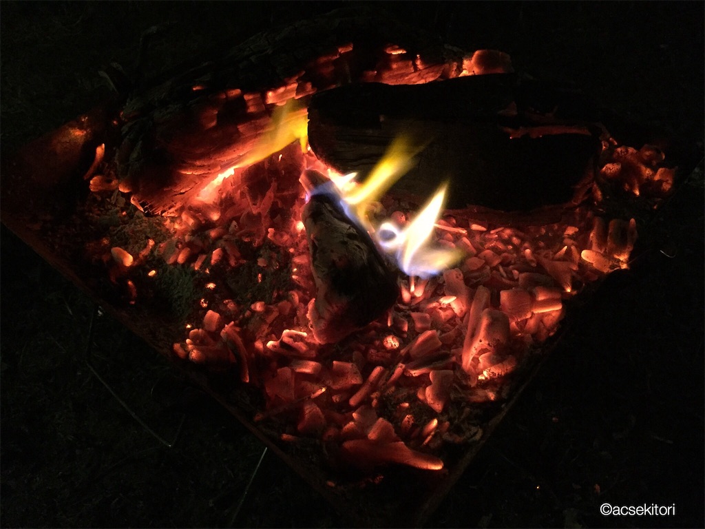 f:id:acsekitori:20181113085503j:image f:id:acsekitori:20181113085503j:image