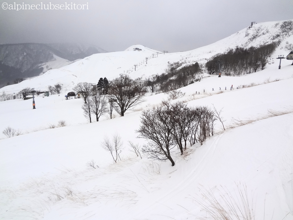 f:id:acsekitori:20190117160951j:plain