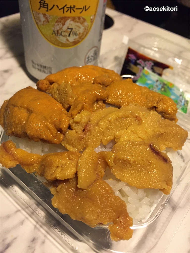 f:id:acsekitori:20190217173037j:plain