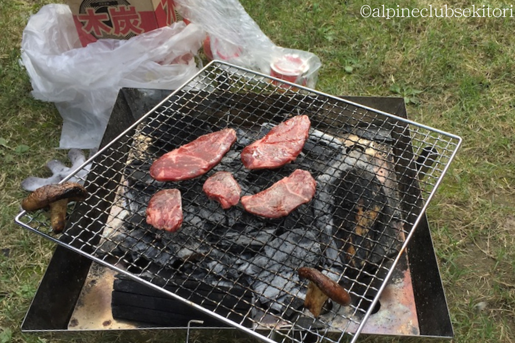 f:id:acsekitori:20190217192106j:plain