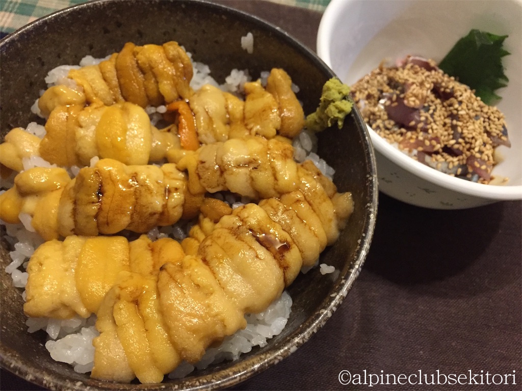 f:id:acsekitori:20190217194835j:plain