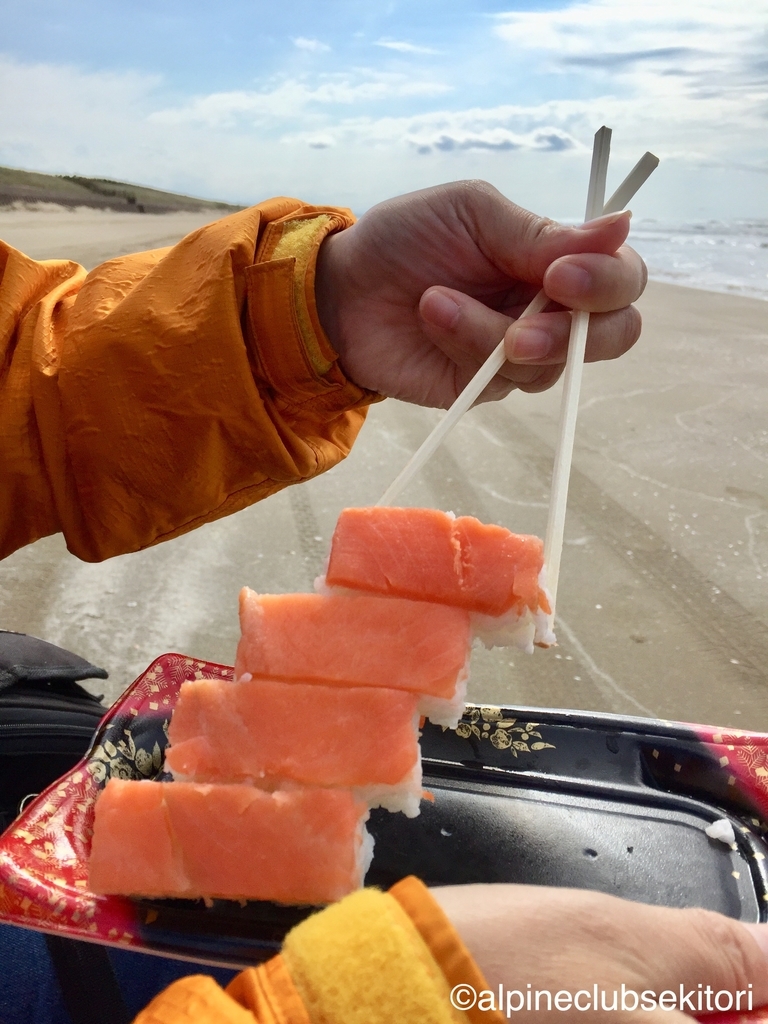 f:id:acsekitori:20190217201729j:plain