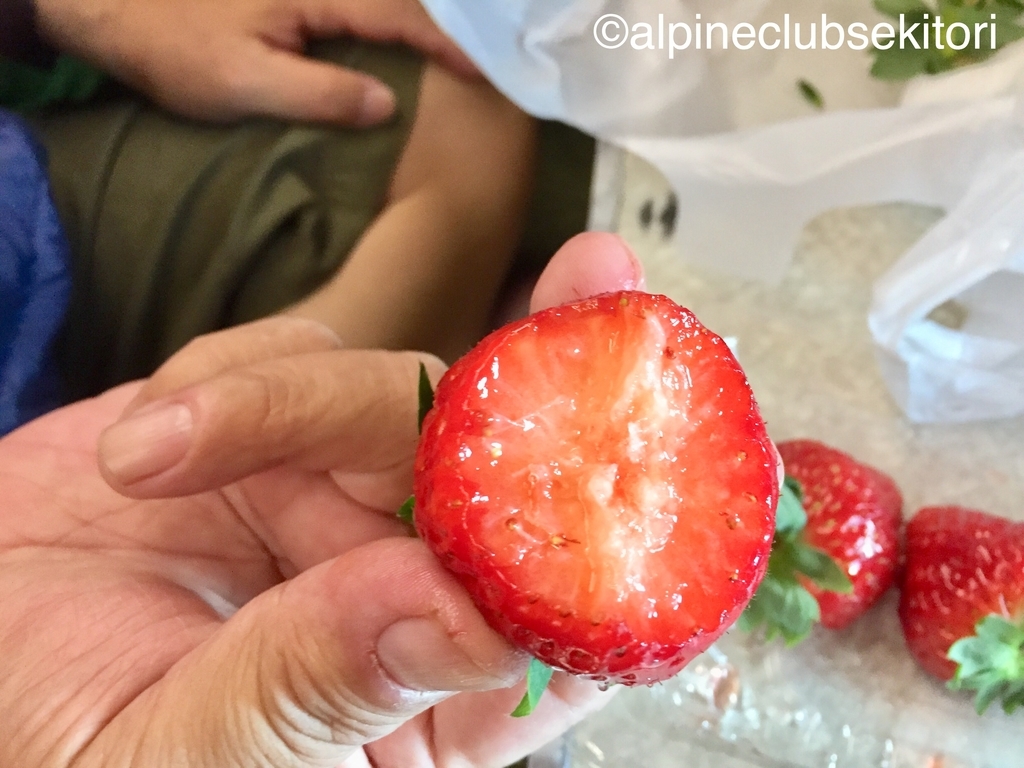 f:id:acsekitori:20190217202523j:plain